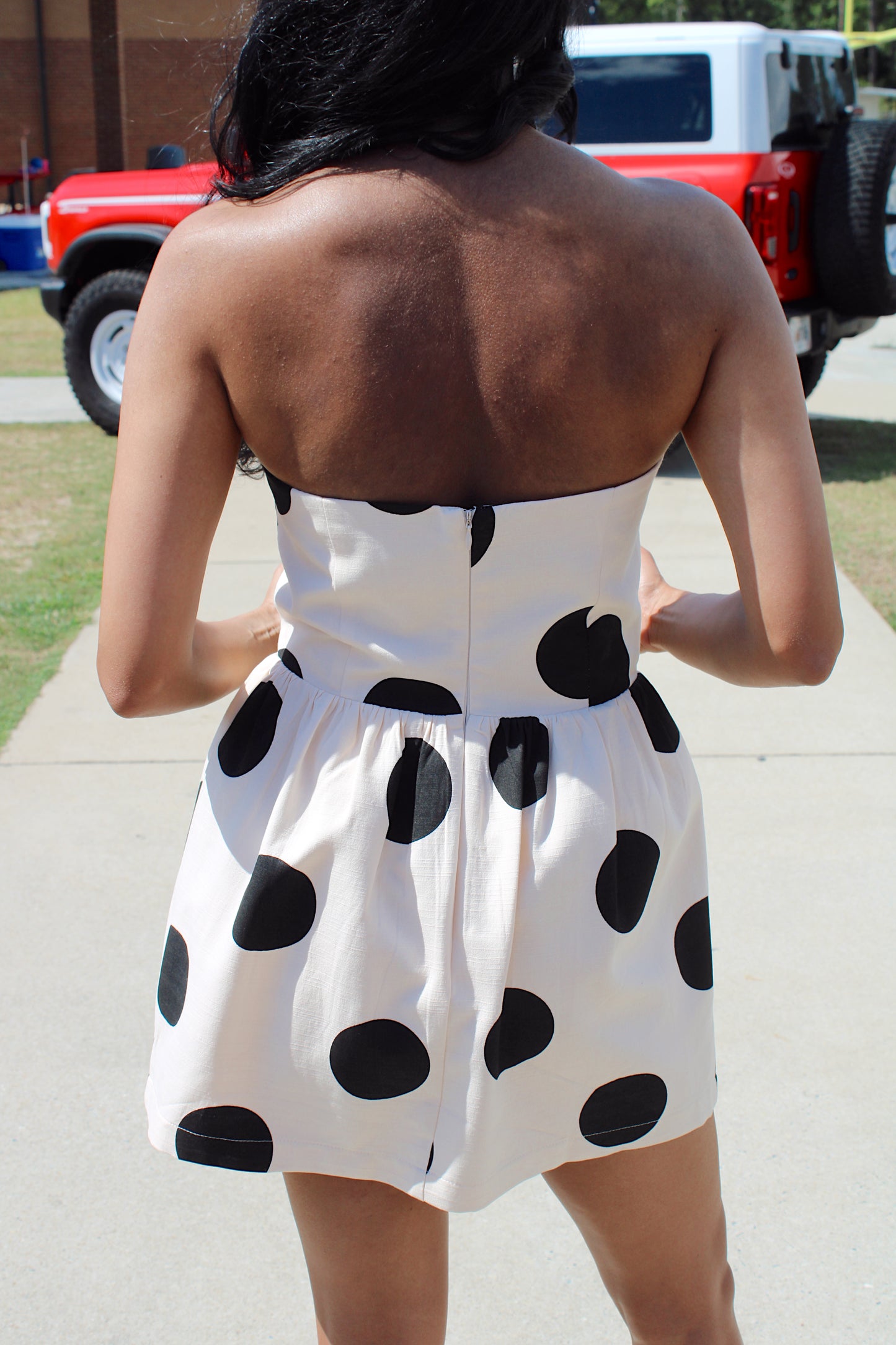 Dotty Diva Mini
