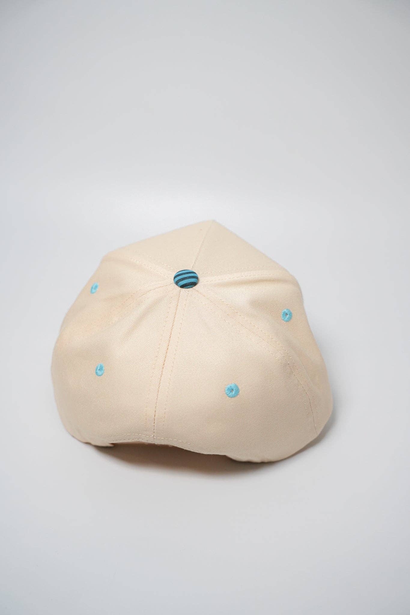 PRETTY GIRL PRIVILEGE TRUCKER HAT