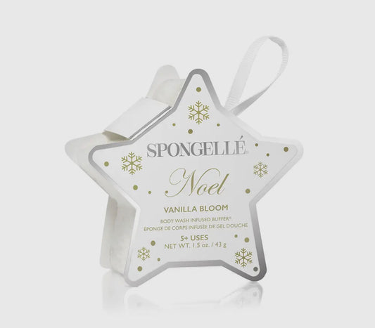 Holiday Star Gift Set - Wish Upon A Star